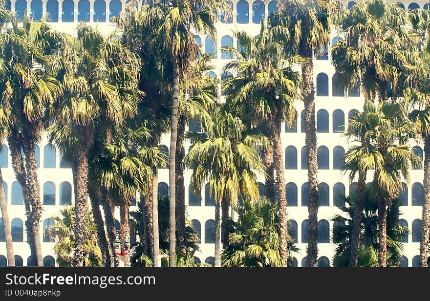 Building and palm trees