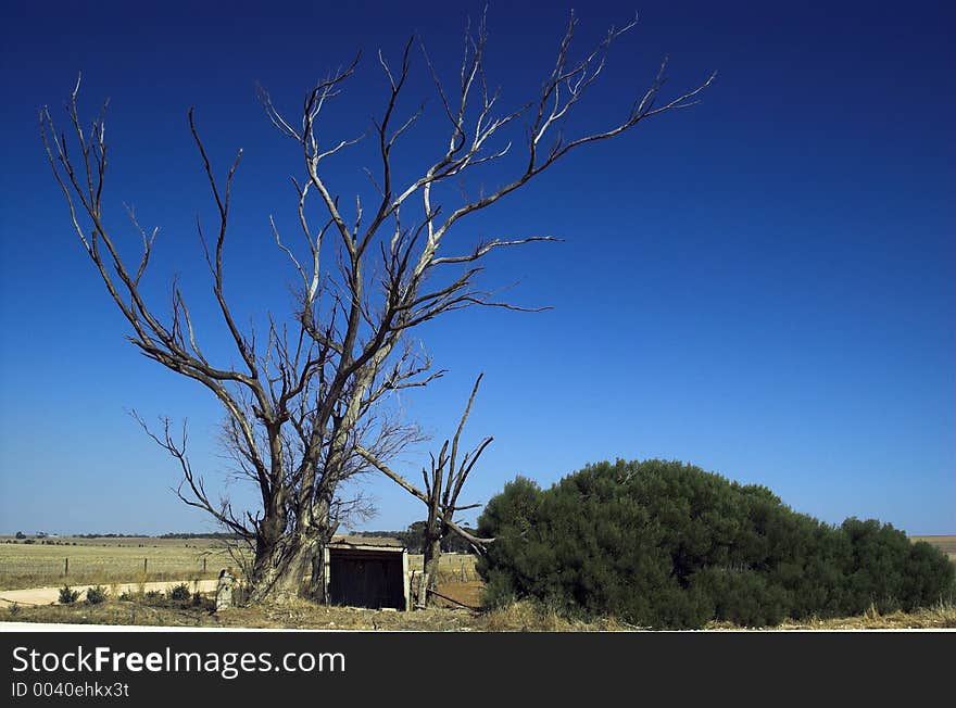 A rural school bus shelter on the Yorke Peninsula, South Australia. A rural school bus shelter on the Yorke Peninsula, South Australia.