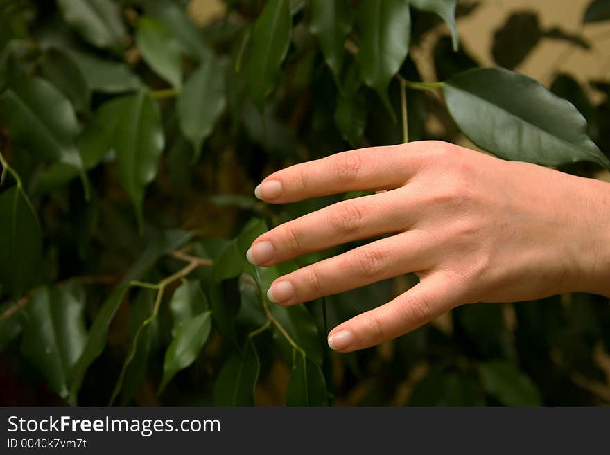 People woman hand. People woman hand.