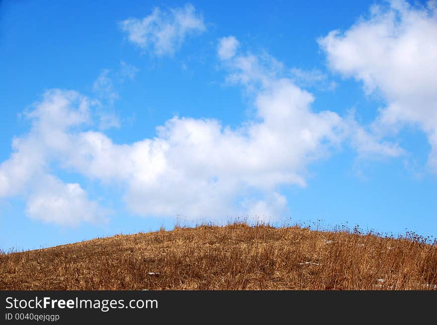 With blue sky. With blue sky