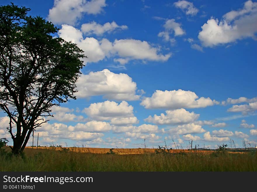 Landscape with sun shining on the fields in the distance creating a tree silloutte. Landscape with sun shining on the fields in the distance creating a tree silloutte.