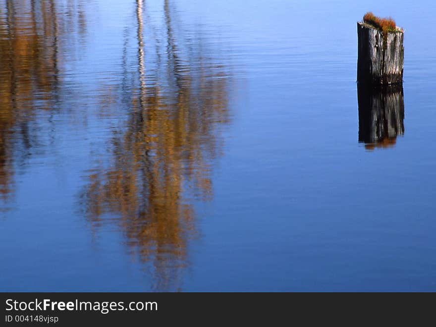 Reflection in water. Reflection in water