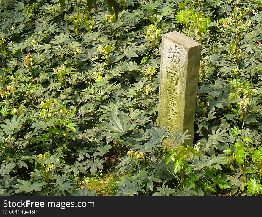 Stone Landmark And The Green