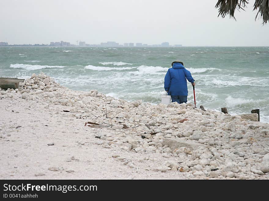 Dedicated Beachcomber