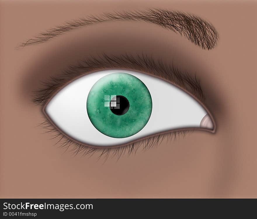 A closeup of a green iris and eye