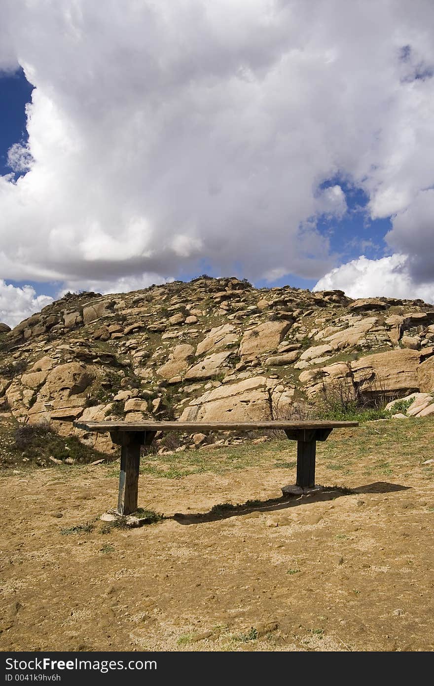 Bench in wilderness