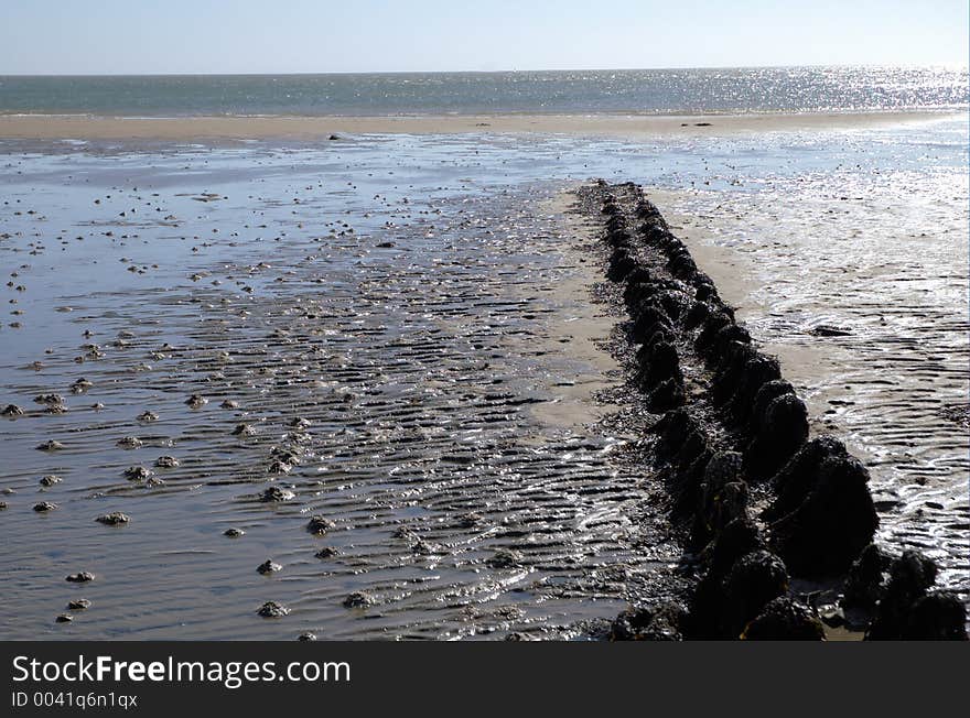 Low tide in the north sea