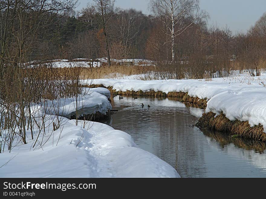 The river in the spring.