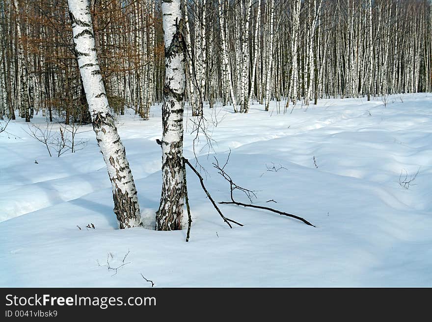 The photo is made in the city of Moscow (Russia) in wood park Kuzminki. First attributes of spring. Original date/time: 2006:03:28 11:12:21. The photo is made in the city of Moscow (Russia) in wood park Kuzminki. First attributes of spring. Original date/time: 2006:03:28 11:12:21.