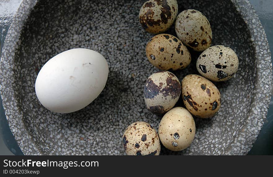 Eggs in a bowl. Eggs in a bowl