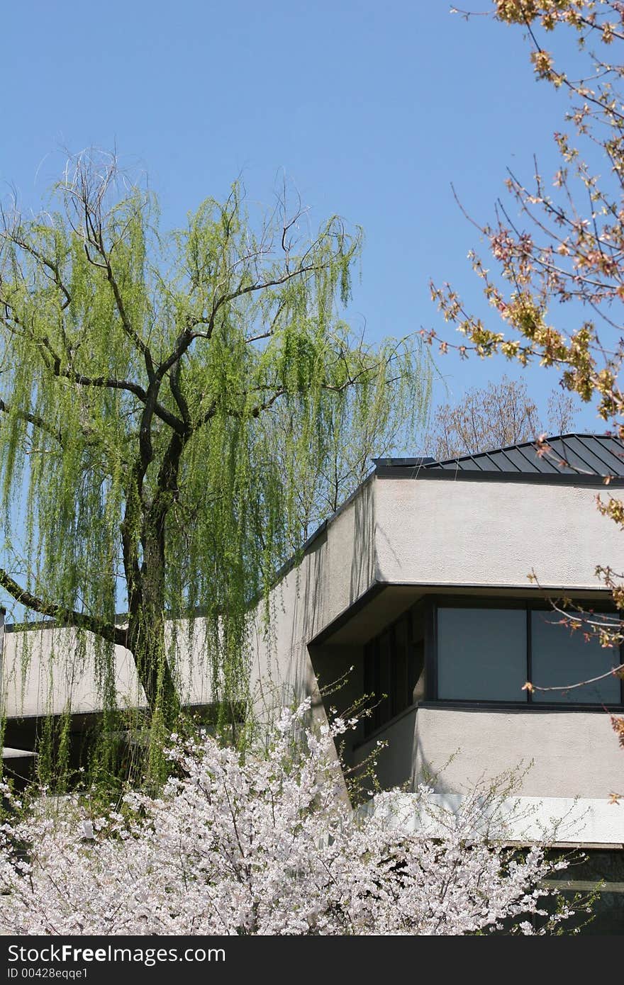 Office in Spring