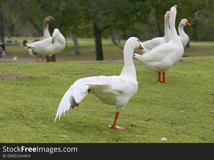 Embden Yoga