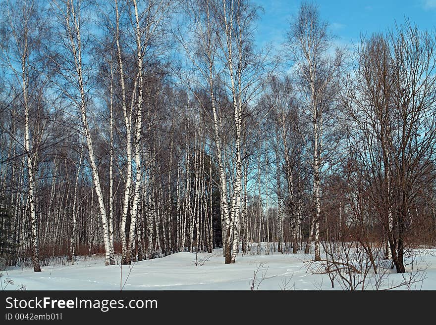 The photo is made in the city of Moscow (Russia) in wood park Kuzminki. First attributes of spring. Original date/time: 2006:03:28 11:40:11. The photo is made in the city of Moscow (Russia) in wood park Kuzminki. First attributes of spring. Original date/time: 2006:03:28 11:40:11.