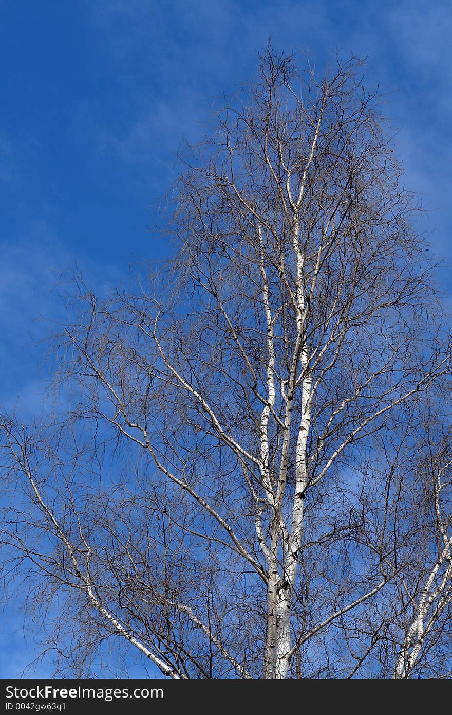 The March sky.