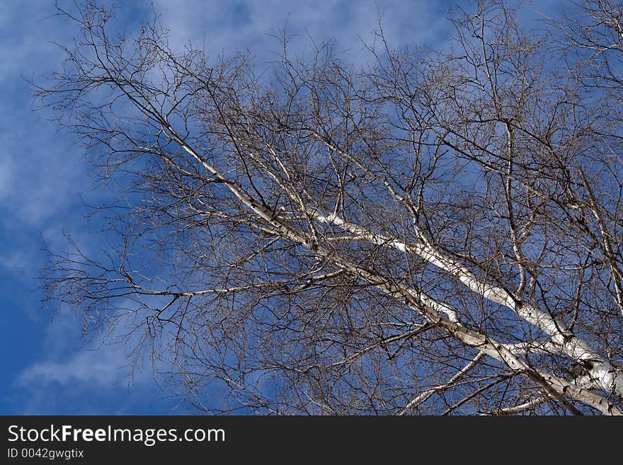 The photo is made in the city of Moscow (Russia) in wood park Kuzminki. First attributes of spring. Original date/time: 2006:03:28 11:49:20. The photo is made in the city of Moscow (Russia) in wood park Kuzminki. First attributes of spring. Original date/time: 2006:03:28 11:49:20.