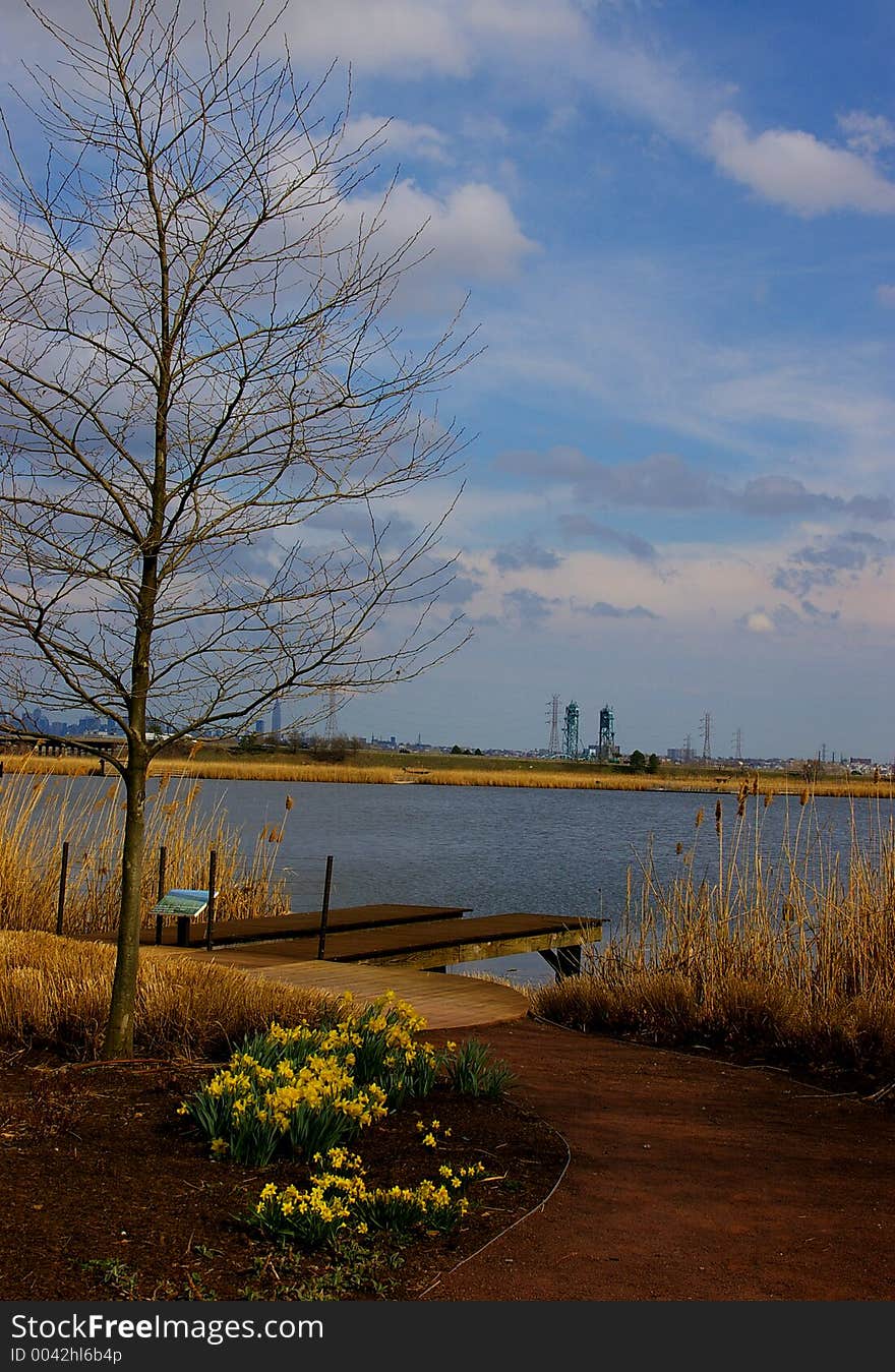 A walkway at the Marshland Bird Sanctuary. A walkway at the Marshland Bird Sanctuary