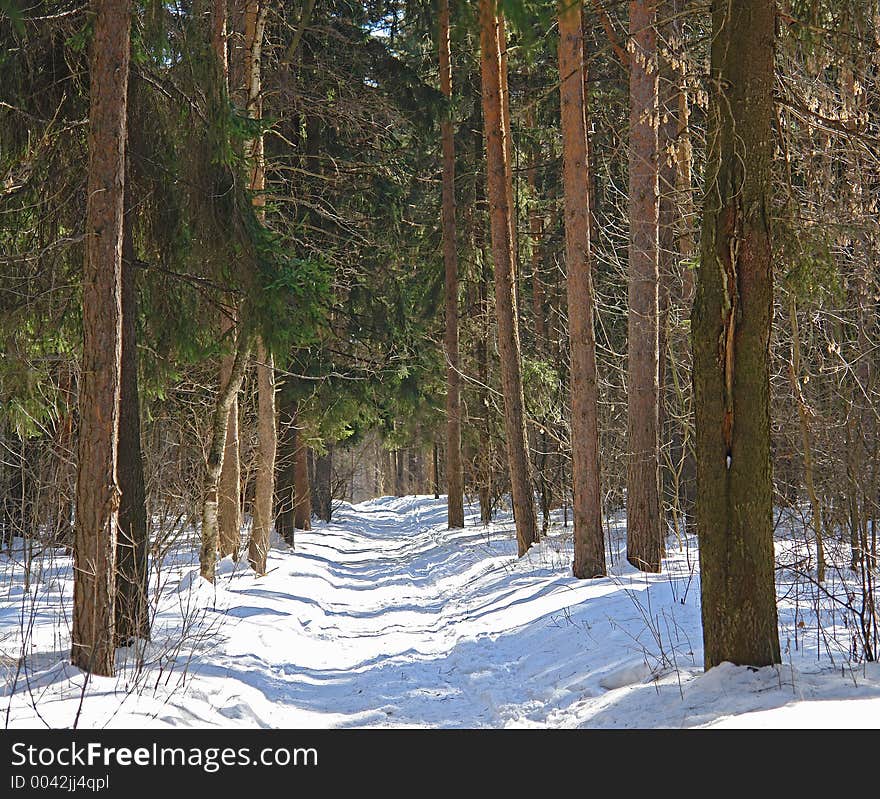 The photo is made in the city of Moscow (Russia) in wood park Kuzminki. First attributes of spring. Original date/time: 2006:03:28 12:18:25. The photo is made in the city of Moscow (Russia) in wood park Kuzminki. First attributes of spring. Original date/time: 2006:03:28 12:18:25.