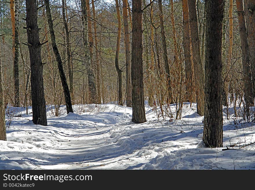 The photo is made in the city of Moscow (Russia) in wood park Kuzminki. First attributes of spring. Original date/time: 2006:03:28 12:27:22. The photo is made in the city of Moscow (Russia) in wood park Kuzminki. First attributes of spring. Original date/time: 2006:03:28 12:27:22.