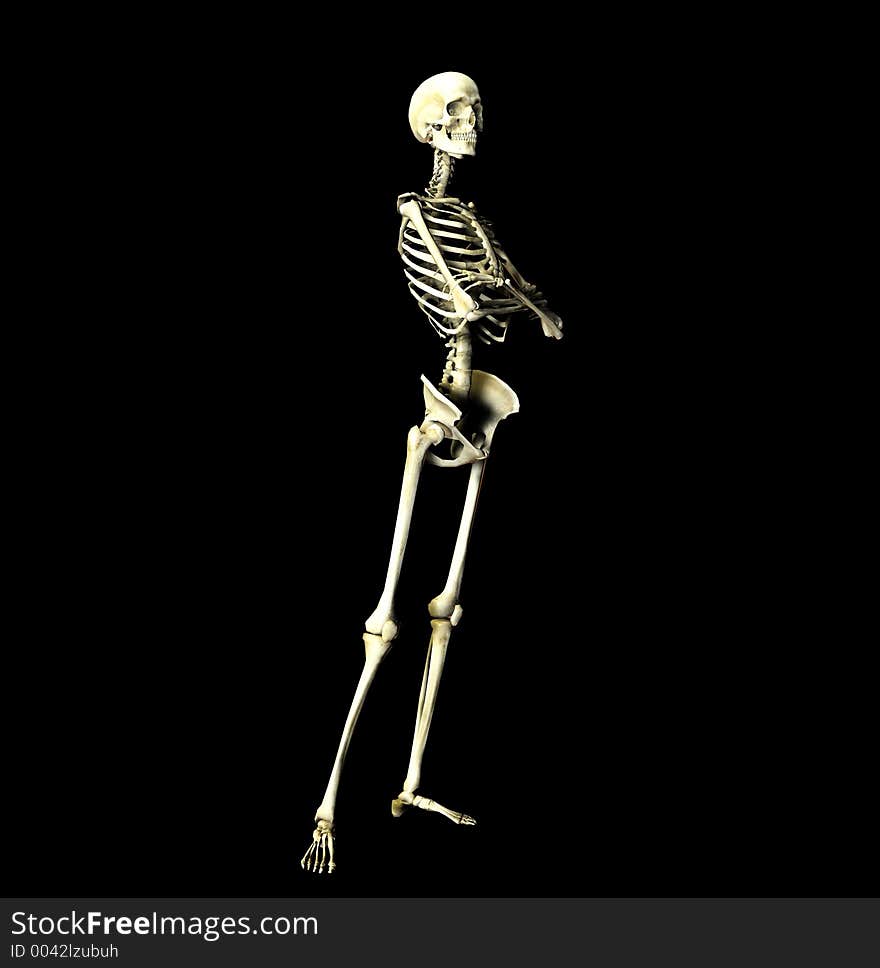 This is an skeleton in a pose. This is an skeleton in a pose.