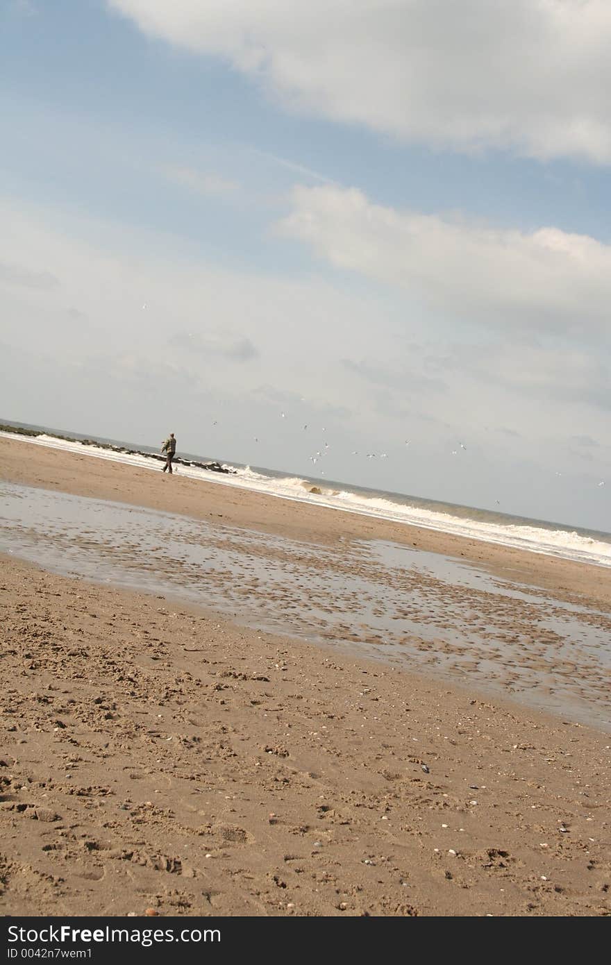 Walk along the beach in spring