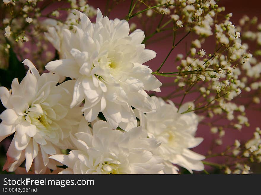 Bouquet of flowers