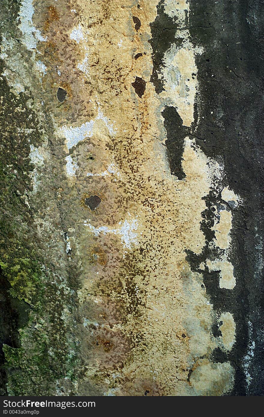 Old wall. Texture