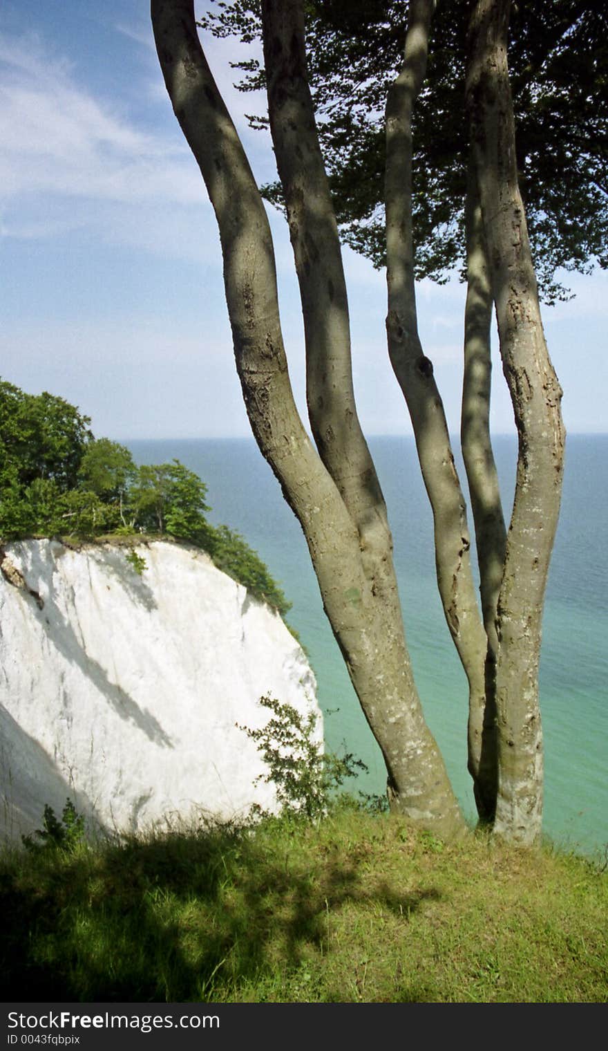 A chalk-cliff on the island Moen in Denmark. A chalk-cliff on the island Moen in Denmark.