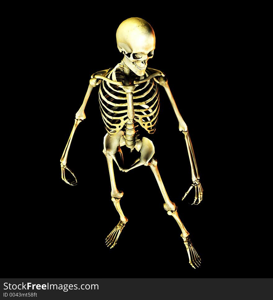 This is an skeleton in a standing pose. This is an skeleton in a standing pose.