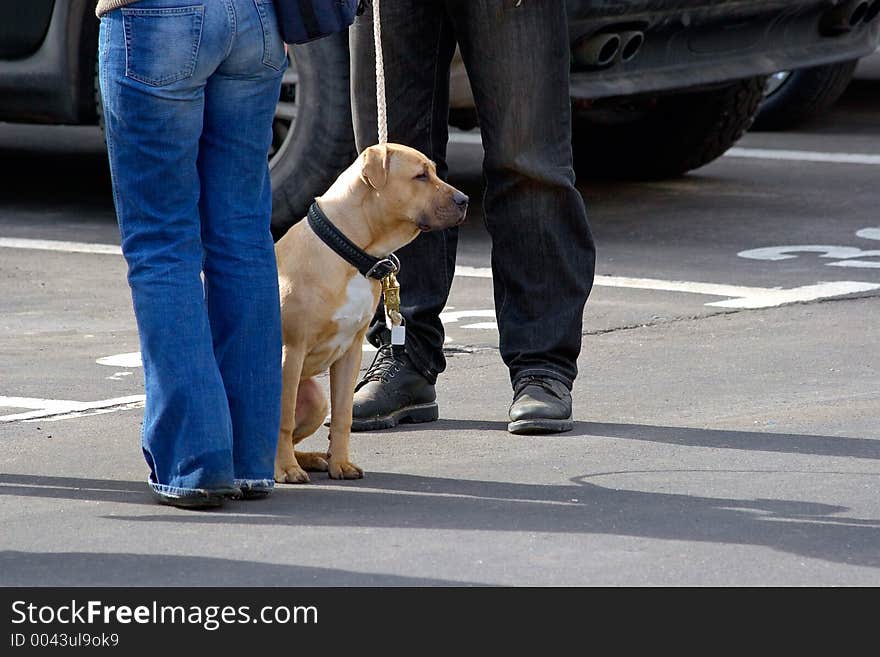 The man, the girl and the dog