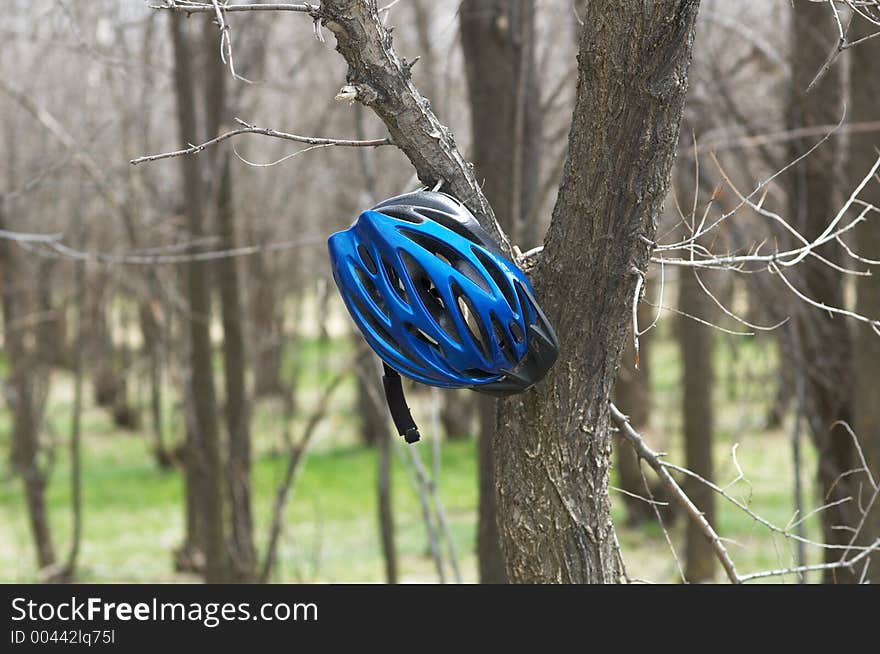 Biker Helmet In Spring Forest