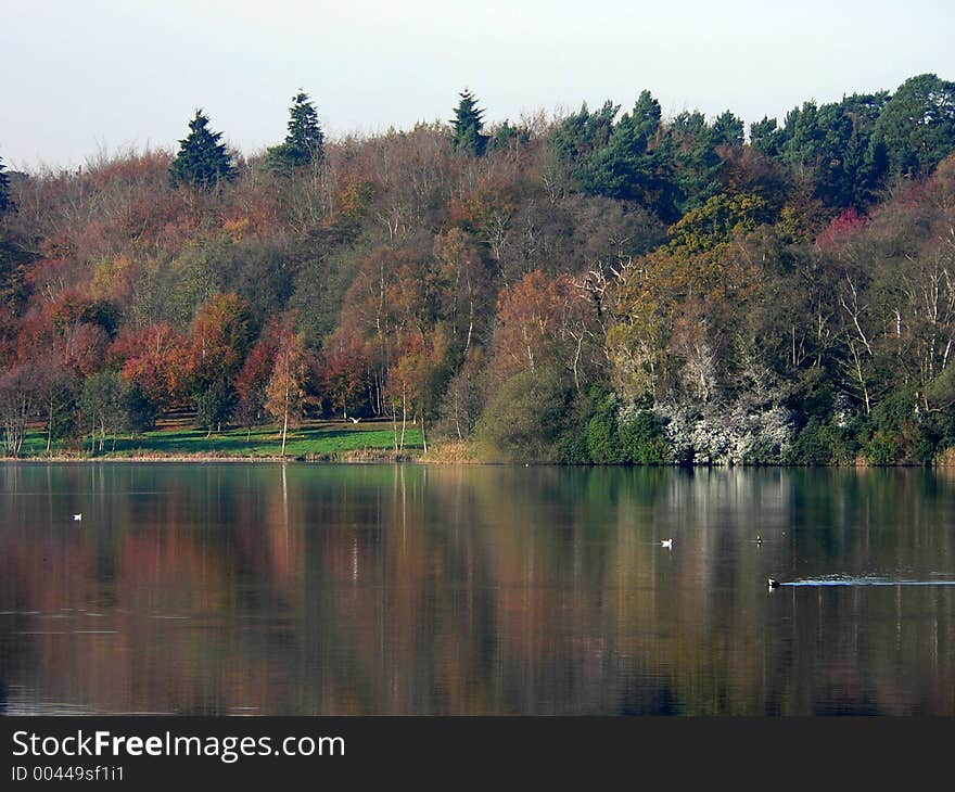 Lake Scene.