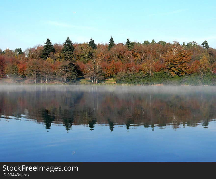 Woodland Reflection