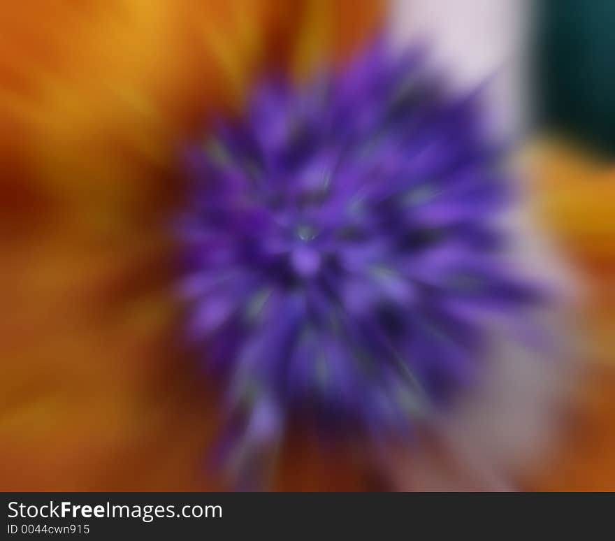 Soft flowers in hand