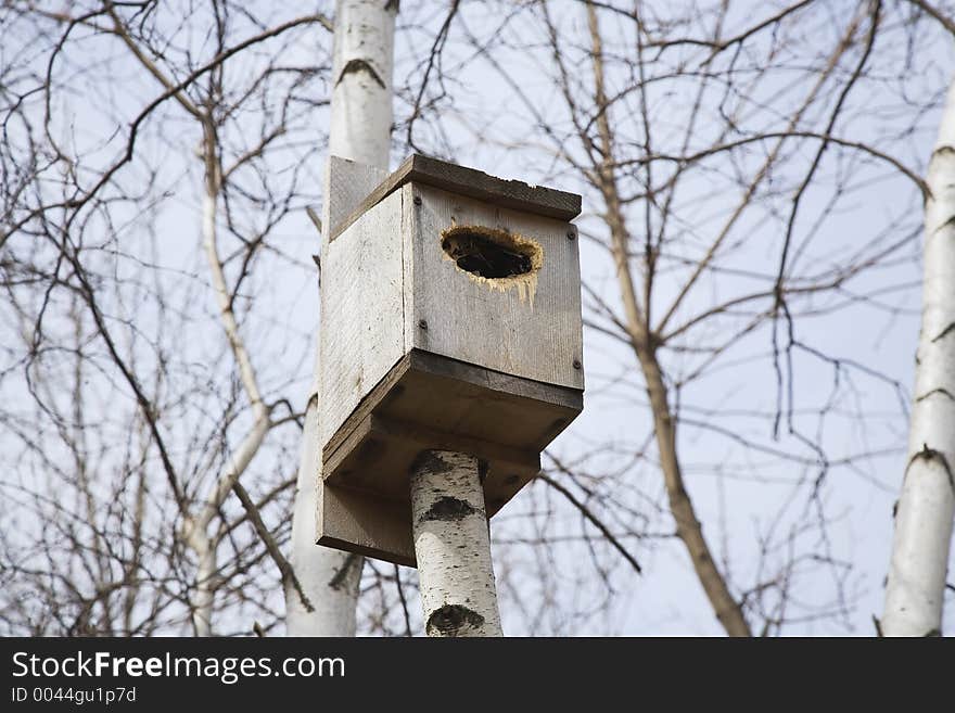 Birdhouse on a tree