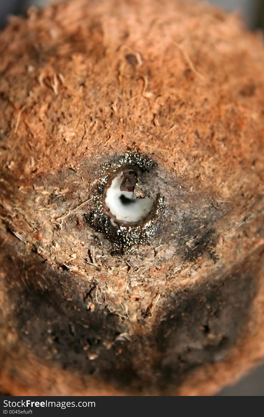 Coconut Milk Hole - Portrait