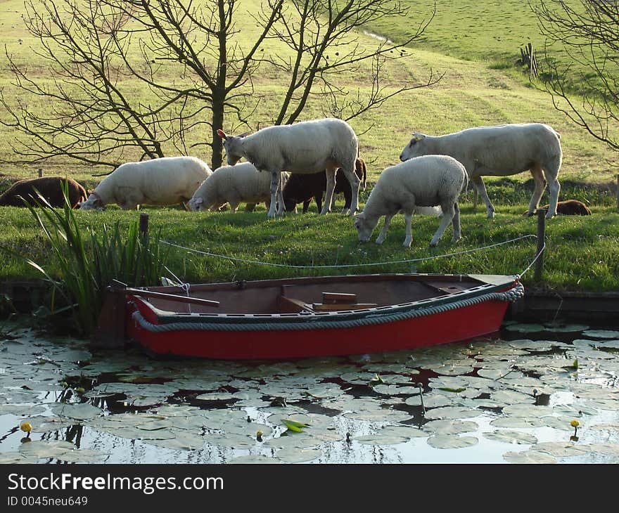 Farm life