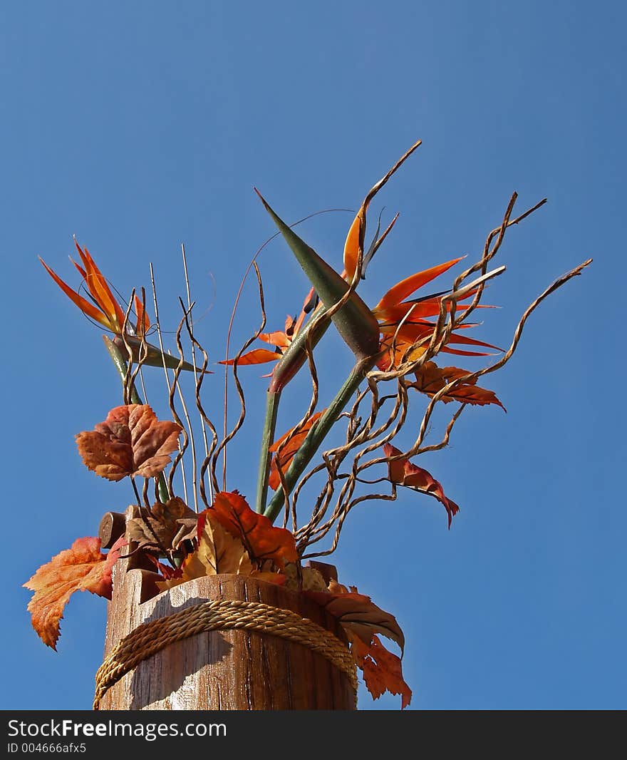 Flowers in a bucket