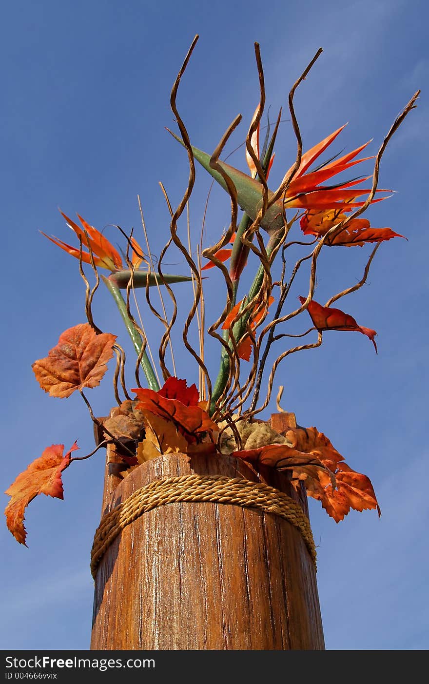 Flowers In A Bucket