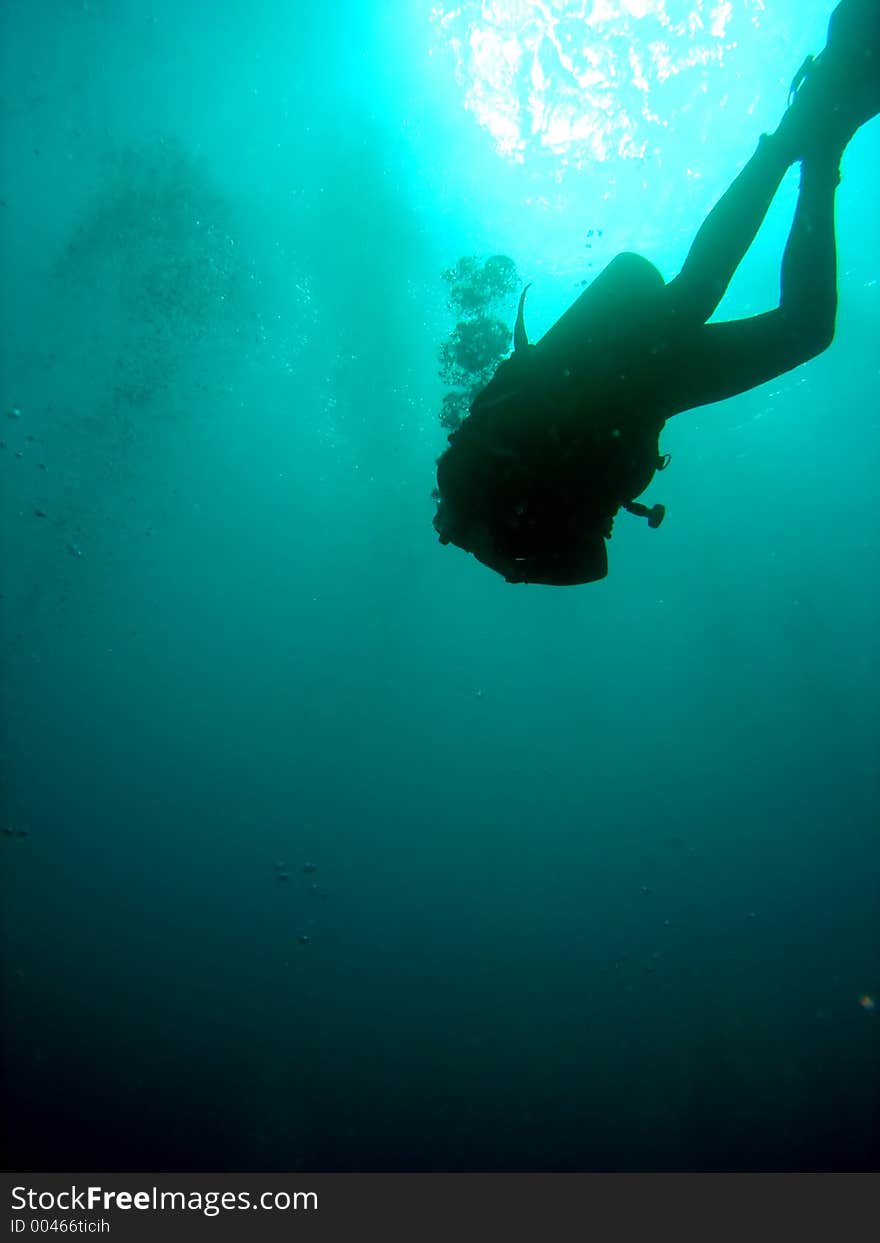 Diver silhouette