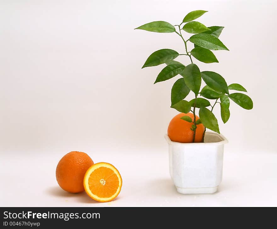 Oranges 1