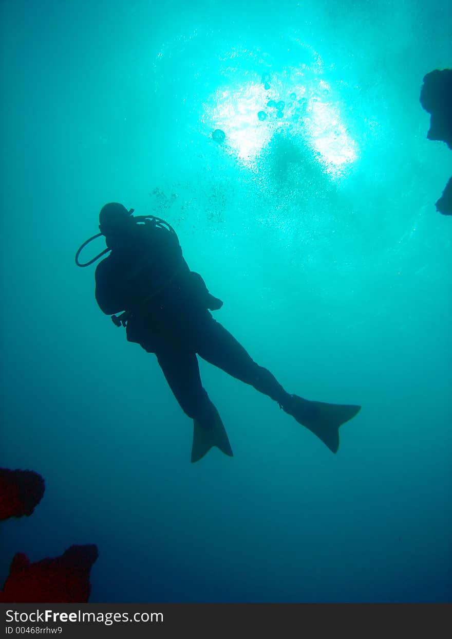 Scuba diver with coral reef