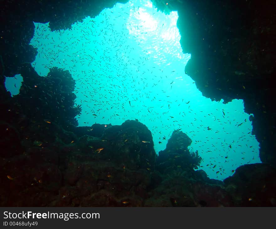 The Fishbowl at the Canyon