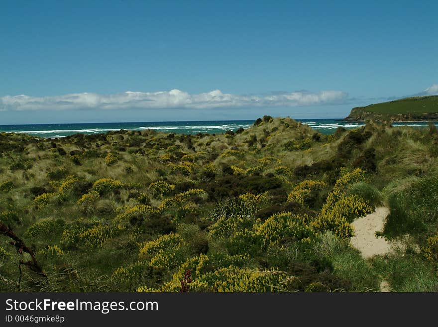 Yellow Beach