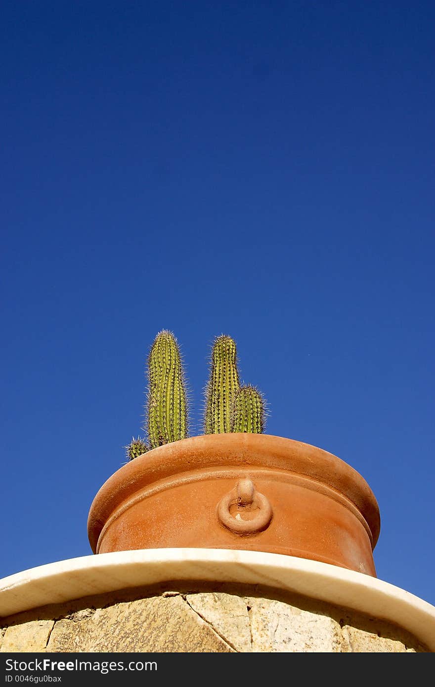 Garden detail. Garden detail