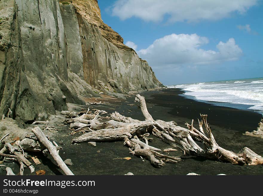 Driftwood on volcanic beach. Driftwood on volcanic beach