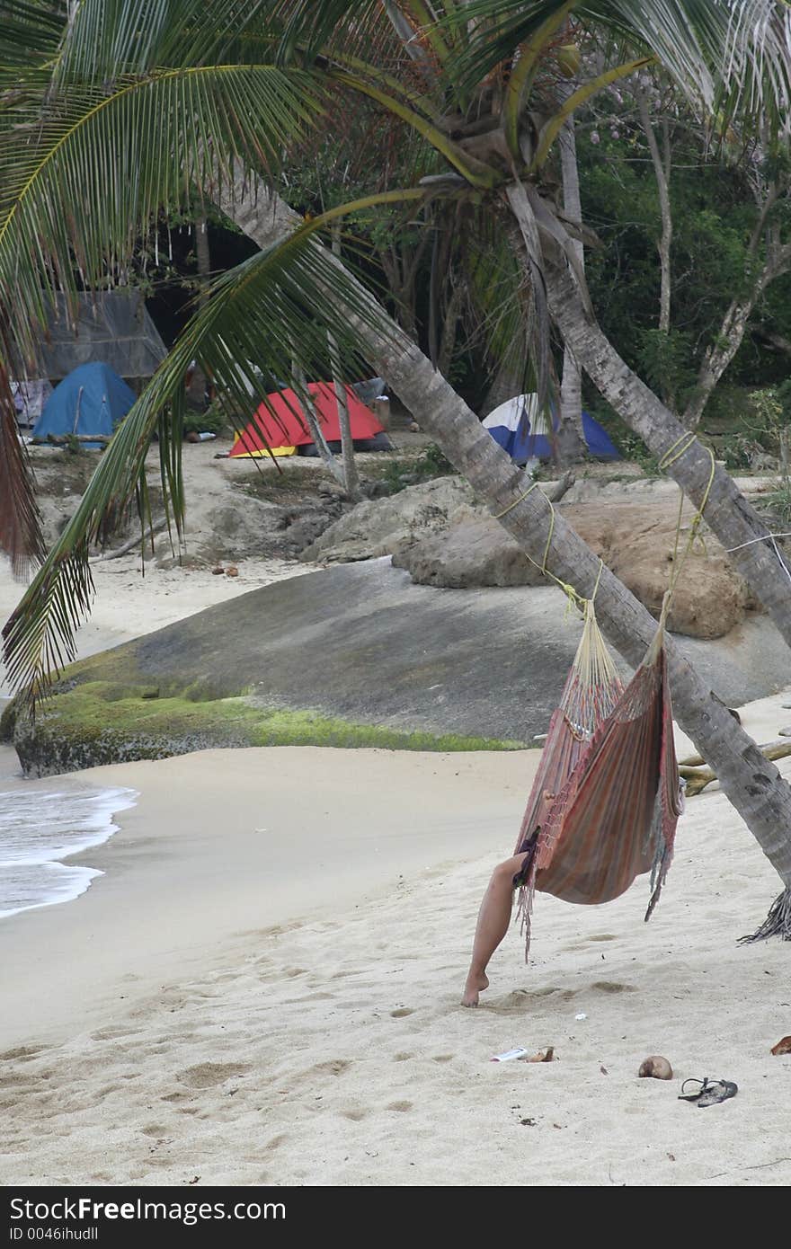 Relaxing At The Beach. Hammock