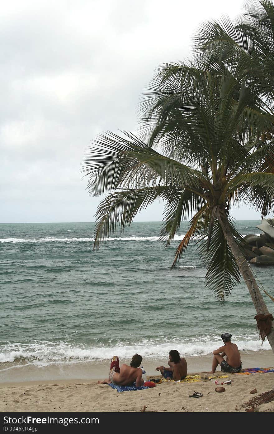 Relaxing At The Beach. Hammock