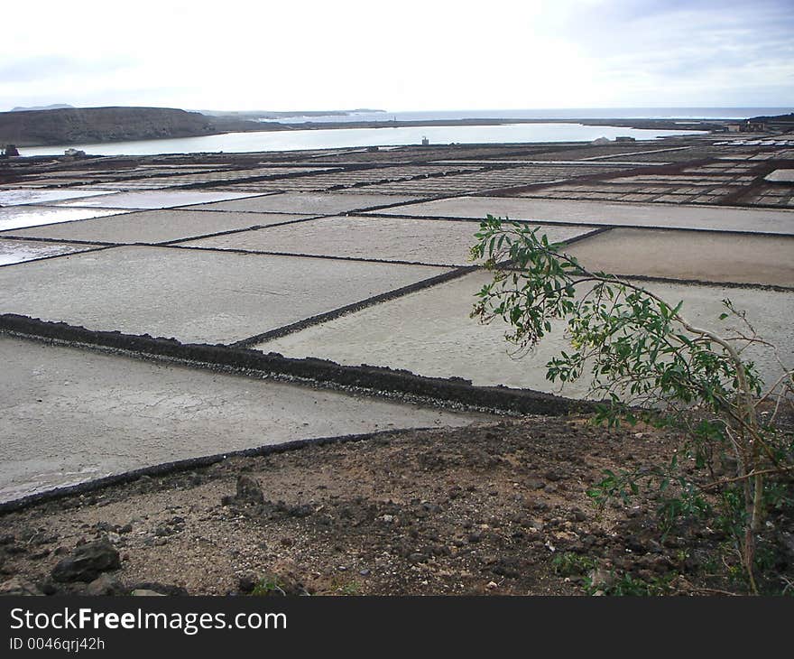 Saltworks on Lanzarote