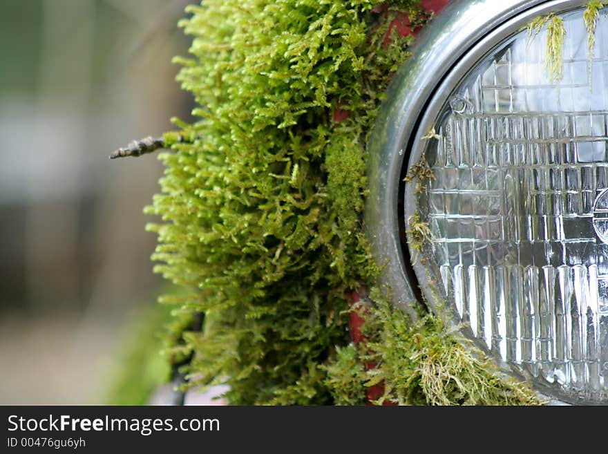 A abandoned truck headlight covered in moss. A abandoned truck headlight covered in moss.