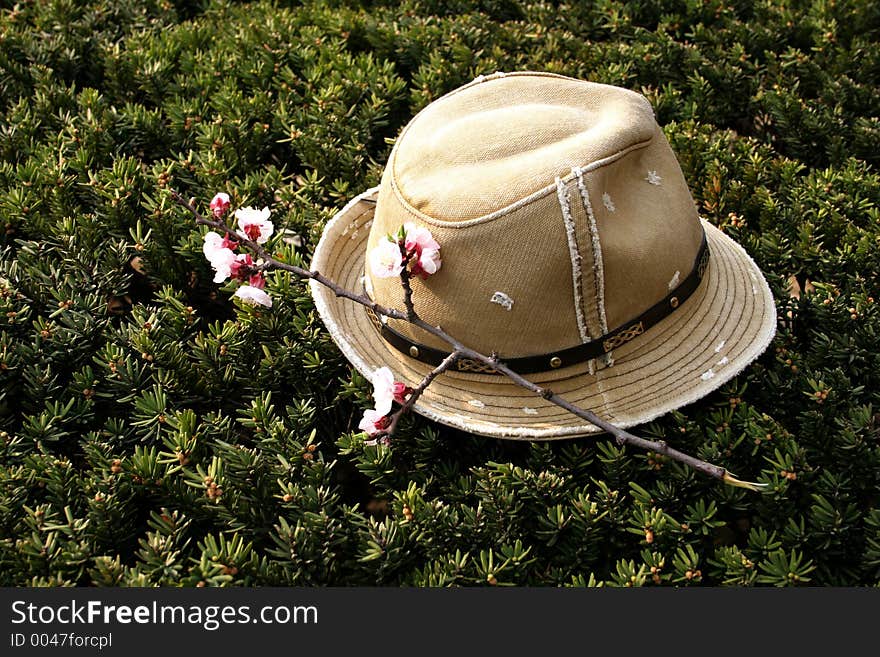 Hat with spring flowers